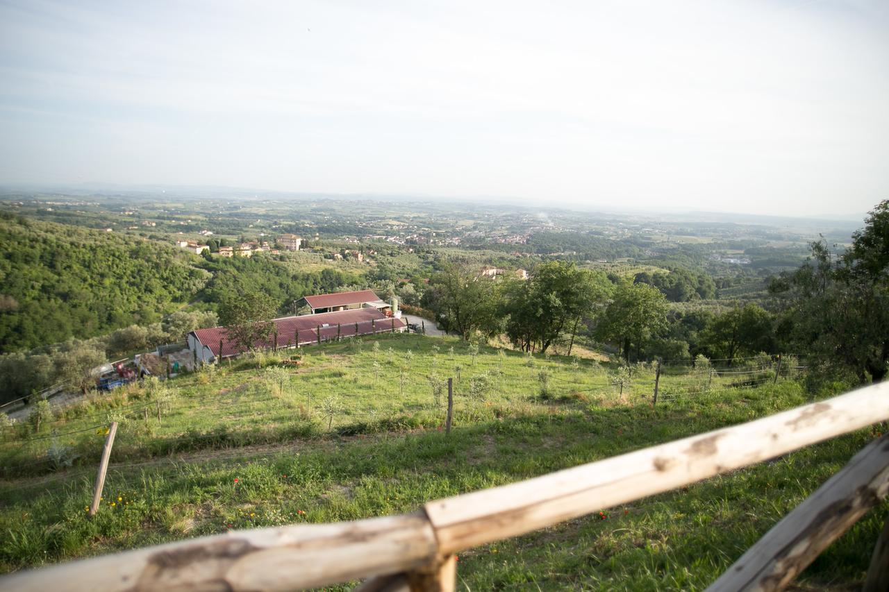 La Dispensa-bio agriturismo Bed and Breakfast Lamporecchio Exterior foto